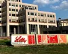 Eli Lilly a intrat în istorie ca prima companie de sănătate din lume care atinge valoarea de un trilion de dolari