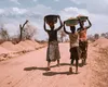 De ce a invitat Trump cinci lideri africani la Casa Albă