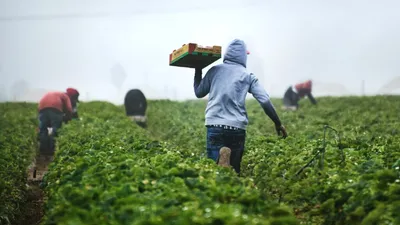 UE propune „credite pentru natură” pentru a reduce deficitul de finanțare ecologică