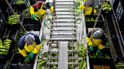 Piața muncii și războiul tarifelor: Cum schimbă politica comercială a SUA economia globală și planurile băncilor centrale