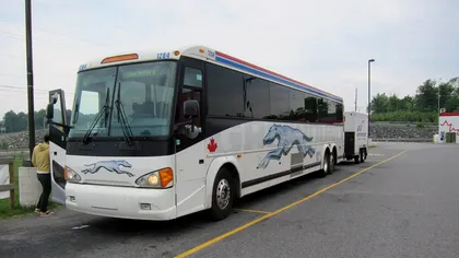 Guvernul înăsprește regulile în transporturile rutiere. Șoferii, intermediarii și operatorii intră sub un regim de control mai strict