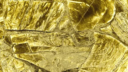 Aurul din Africa și Amazon atrage infractori, trupe paramilitare și „narco-mineri”