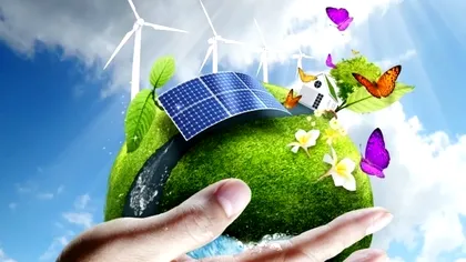 Un procent de 85 dintre executivii companiilor la nivel global au declarat că au crescut, în ultimele 12 luni, investiţiile în tranziţia „verde”