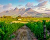 Vinul sud-african în 2025 renaște și redefinește harta globală a excelenței premium