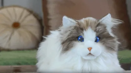 Țara care pariază pe terapia cu pisici robot. Alinare emoțională digitală (VIDEO)