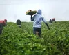 UE propune „credite pentru natură” pentru a reduce deficitul de finanțare ecologică