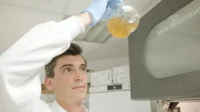 Paracetamol din deșeuri de plastic – o soluție verde pentru industria farmaceutică