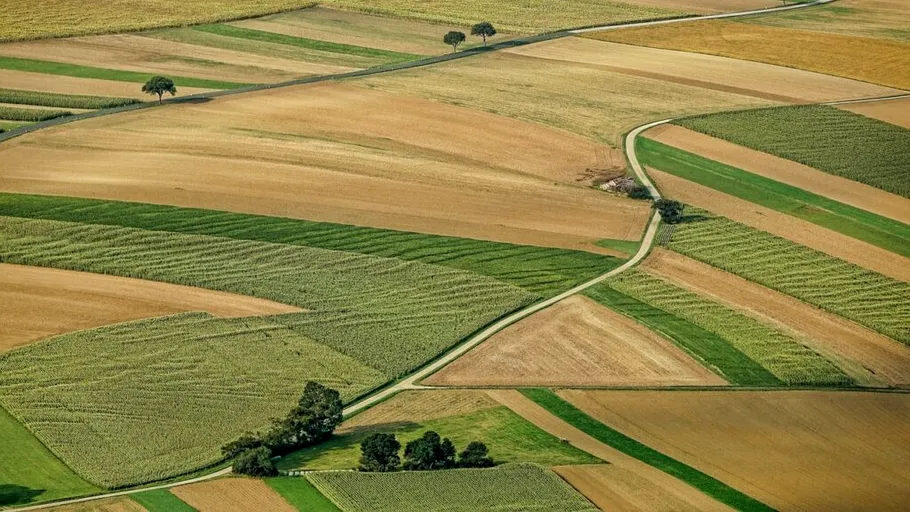 Localitatea unde hectarul de teren agricol a ajuns mai scump decât un apartament de lux