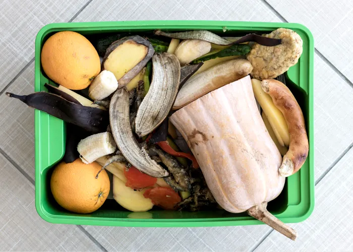 România aruncă 2,5 milioane de tone de alimente anual