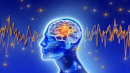 Ce înseamnă mind blanking: Cercetătorii au descoperit că în acele momente creierul intră într-o stare asemănătoare somnului profund