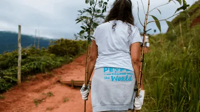 Mii de tineri călătoresc gratis în jurul lumii, în schimbul muncii voluntare. Cât de mult îşi riscă siguranţa?