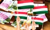 Miliarde de euro pompate de Guvernul lui Viktor Orban în Transilvania. Cum funcționează subvențiile din Ungaria