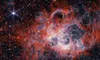 „Frumoasele adormite” din Univers: Telescopul spațial James Webb descoperă galaxii misterioase care au încetat brusc să creeze stele