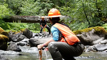 Tendințe. Unii dintre cei care au renunțat la munca de birou spun că nu s-ar mai întoarce vreodată