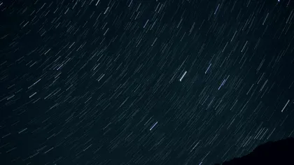 De ce poți să cumperi un dinozaur? Piața de lux devorează patrimoniul științific: când meteoriții și fosilele devin clase de active, știința pierde