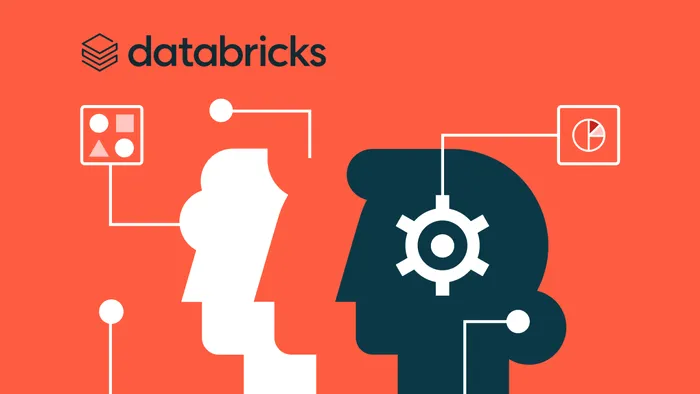 Databricks, cu doi cofondatori români, evaluată la 134 miliarde $