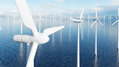 Scandal în Marea Britanie pe costurile energiei eoliene offshore. Greenpeace amenință compania regelui Charles cu tribunalul