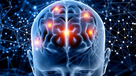 Creierul uman este „preconfigurat” ca să poată înțelege lumea