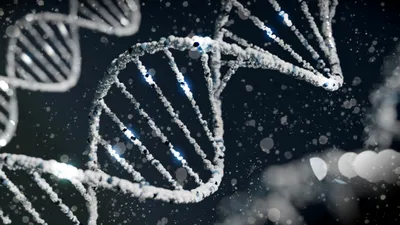 Informațiile genetice – o nouă resursă comună. Se pregătește „Genomoteca Vieții”