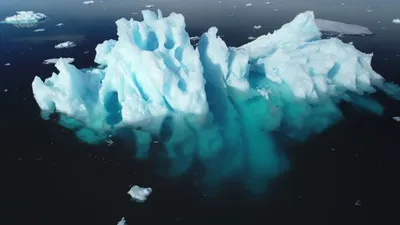 „Realitatea este că firmele nu vor salva planeta”. Companiile abandonează angajamentele climatice: începutul sfârșitului voluntariatului corporativ?