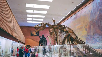 O fosilă rară de Ceratosaurus, adjudecată pentru mai bine de 30 de milioane de dolari