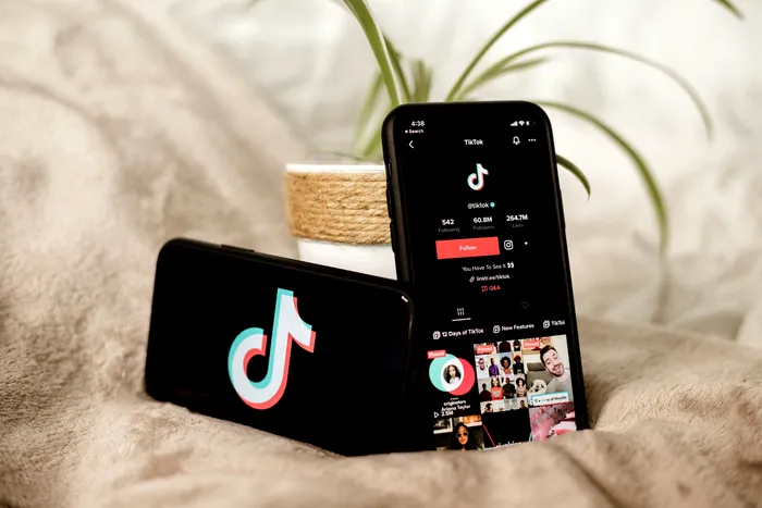 TikTok, evaluat la 14 miliarde $ după vânzarea către americani