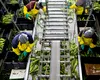 Piața muncii și războiul tarifelor: Cum schimbă politica comercială a SUA economia globală și planurile băncilor centrale