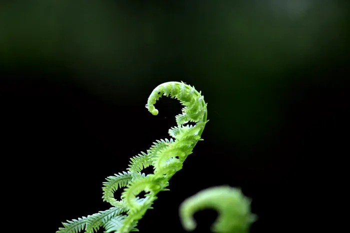 Foto: Unsplash