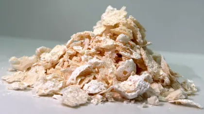 Plasticul biodegradabil: Un material creat de bacterii ar putea înlocui petrolul în producția de plastic