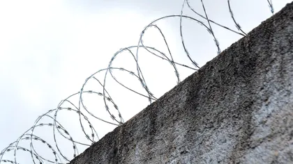 Noua cortină de fier. Cât pompează țările de la granița cu Rusia în construcția de garduri, ca să se păzească de vecinul dornic de război