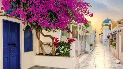 Grecia, una dintre țările cele mai profitabile din Europa: 21,7 miliarde euro în 2024, noi estimări optimiste pentru 2025