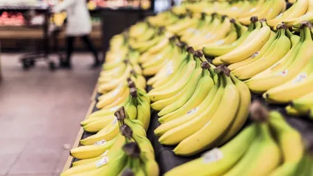 Cum a ajuns România să exporte banane de 3,4 milioane de euro