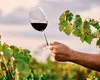 Românii consumă 20% dintre vinurile din Republica Moldova