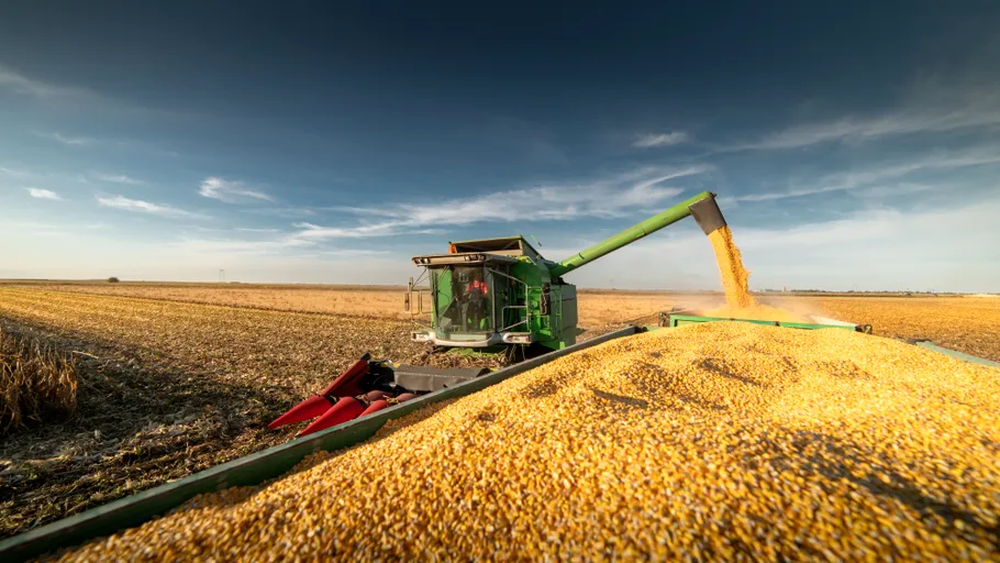 România se pregătește să redevină grânarul Europei, cu cea mai mare producție de grâu din ultimii 28 de ani