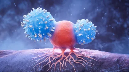 Când dietele devin iluzie, doar metabolismul decide cine câștigă războiul cu grăsimea