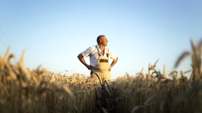 Sectorul din agricultură pe cale de dispariție. Pierderile din acest an au depășit 50% în unele zone
