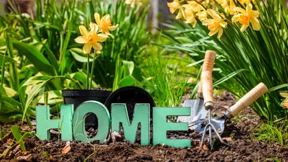 Oamenii se mută împreună doar pentru a împărți costurile vieții