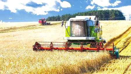 Patria Credit, acord de 290 milioane lei, pentru finanțarea afacerilor mici din agricultură