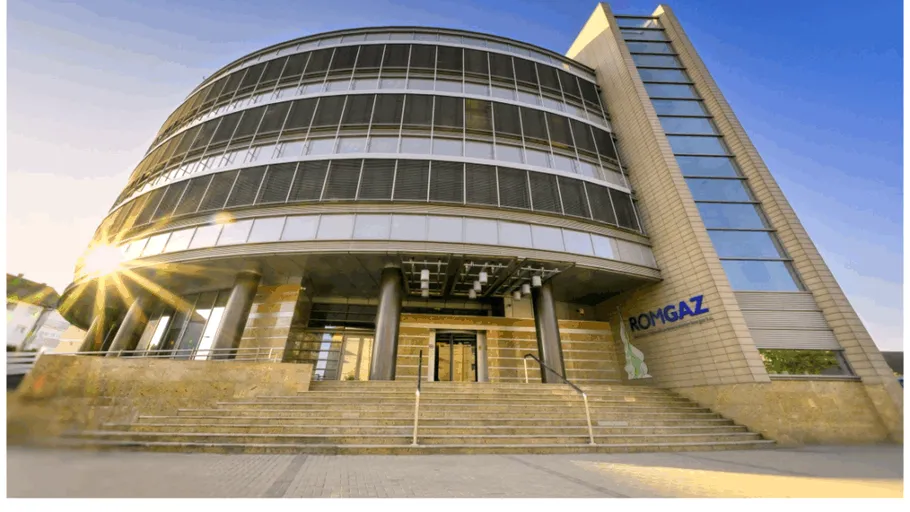 Război în instanță între Romgaz și Greenpeace CEE România. Compania de stat cere dizolvarea fundației