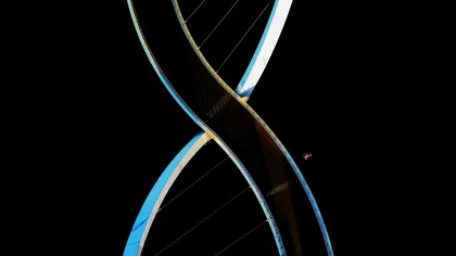 Un nou studiu arată că obezitatea și bolile de inimă nu merg întotdeauna mână în mână