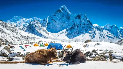 O teorie veche de 100 de ani despre cum stau munții Himalaya în picioare a fost spulberată de o nouă descoperire