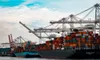 Comerţul global în funcţie de creştere: unde se află România