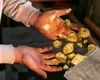 Febra aurului revine în Germania. 514 tone de aur ascunse în râuri și munți i-au pus pe jar pe exploratori