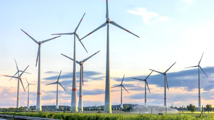 Donald Trump mai dă o lovitură energiei regenerabile