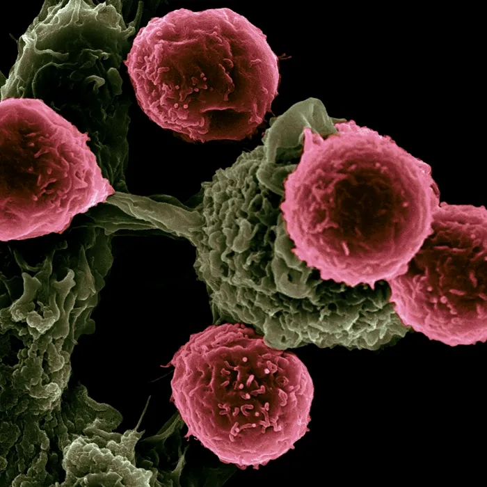 Competiție pharma pentru „incredibila” descoperire împotriva cancerului / Foto: Unsplash