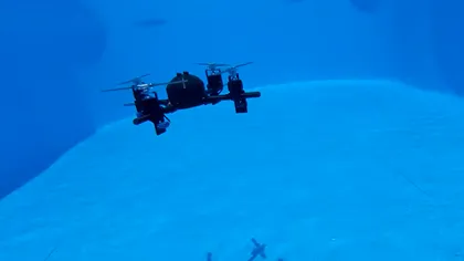 Drona care zboară prin aer și înoată sub apă. Un student din Republica Moldova rescrie regulile ingineriei