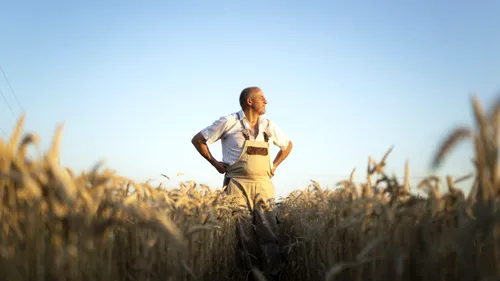 Agricultura românească în 2026, perspective: producții promițătoare, dar presiuni tot mai mari pe costuri și finanțare