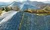 Într-o lună, China a instalat mai multă energie fotovoltaică decât UE în tot anul 2024