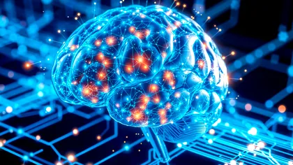 Creierul tău digital. Cum poate o copie virtuală să prevină tulburările psihice și declinul cognitiv