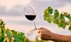 Românii consumă 20% dintre vinurile din Republica Moldova